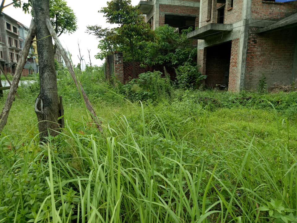 Hoang lanh du an “nha thu truong” cua Song Da 7, co vuot dau nguoi-Hinh-10