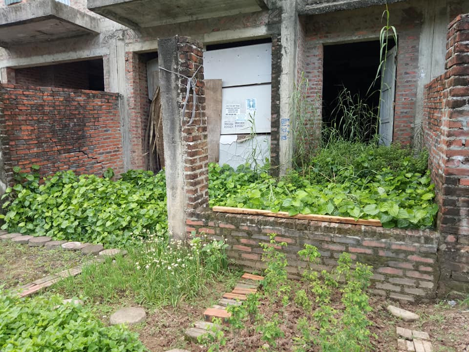 Hoang lanh du an “nha thu truong” cua Song Da 7, co vuot dau nguoi-Hinh-8