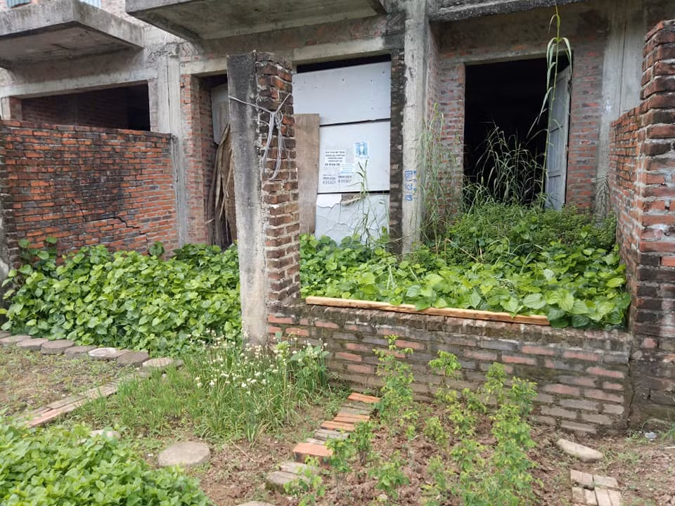 Hoang lanh du an “nha thu truong” cua Song Da 7, co vuot dau nguoi-Hinh-8