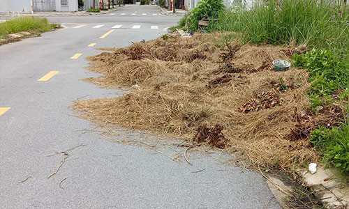 Hoang lanh du an “nha thu truong” cua Song Da 7, co vuot dau nguoi