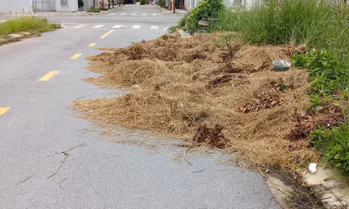 Hoang lanh du an “nha thu truong” cua Song Da 7, co vuot dau nguoi