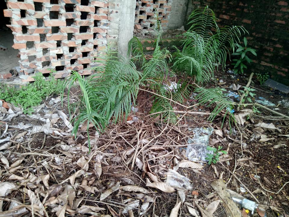 Hoang lanh du an “nha thu truong” cua Song Da 7, co vuot dau nguoi-Hinh-11