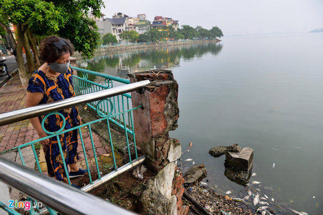He lo ly do ca chet bat thuong tren cac ho o Ha Noi?-Hinh-2