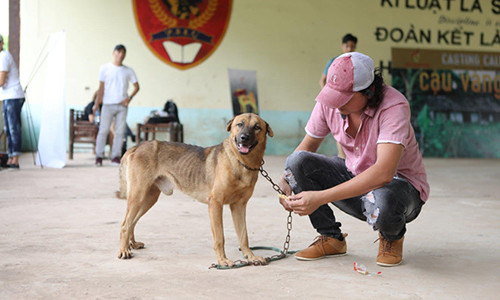 Dao dien cuong quyet de cho Nhat dong “Cau Vang” du gay tranh cai-Hinh-4