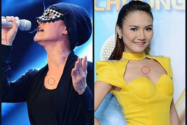 Sau khi bị lộ danh tính, Anh Thúy bị dân mạng ném đá dữ dội và buộc phải rút khỏi cuộc thi. Ảnh: Đời sống pháp luật