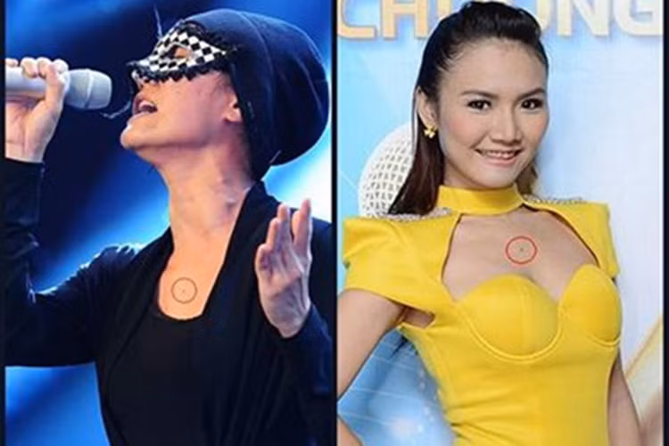 Sau khi bị lộ danh tính, Anh Thúy bị dân mạng ném đá dữ dội và buộc phải rút khỏi cuộc thi. Ảnh: Đời sống pháp luật