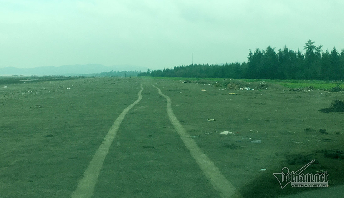 Tai xe taxi Mai Linh gay tai nan roi cho nan nhan xuong bien-Hinh-4