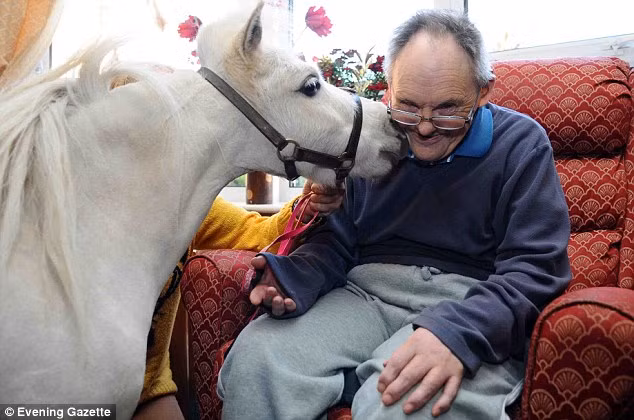 Mọi người trong viện dưỡng lão đều đồng tình ông Joe Sanderson là người rất vui tính.