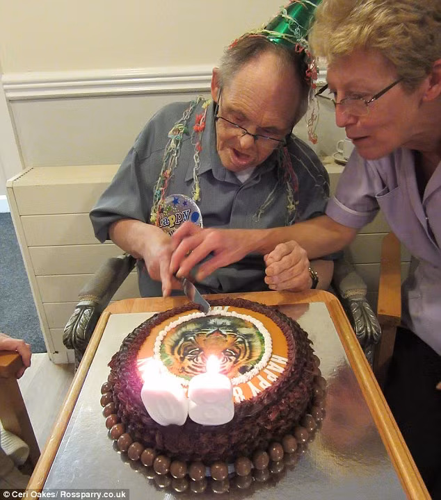 Ông được chuẩn bị một chiếc bánh gato in hình con hổ nhân dịp sinh nhật lần thứ 80.