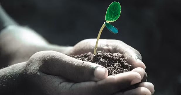 Dung phi thoi gian nho ke xau