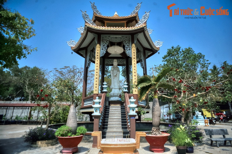 Theo các tư liệu lịch sử còn được lưu giữ cho đến nay, chùa được Thiền sư Đại Ngạn thuộc dòng thiền Lâm Tế khai sơn năm Cảnh Hưng thứ 2, đời Lê Hiển Tông, tức năm Tân Dậu 1741.