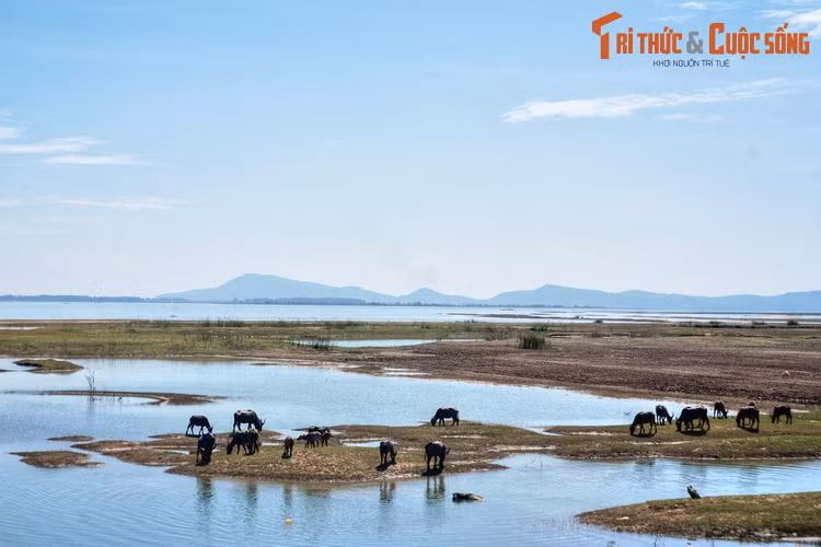 Được coi là một kỳ quan thủy lợi, hồ được khởi công xây dựng vào ngày 29/4/1981 và hoàn thành vào ngày 10/1/1985 với lực lượng nhân công hùng hậu của địa phương. Hồ có diện tích mặt nước là 270 km² và 45,6 km² đất bán ngập nước, dung tích chứa 1,58 tỷ m³ nước.