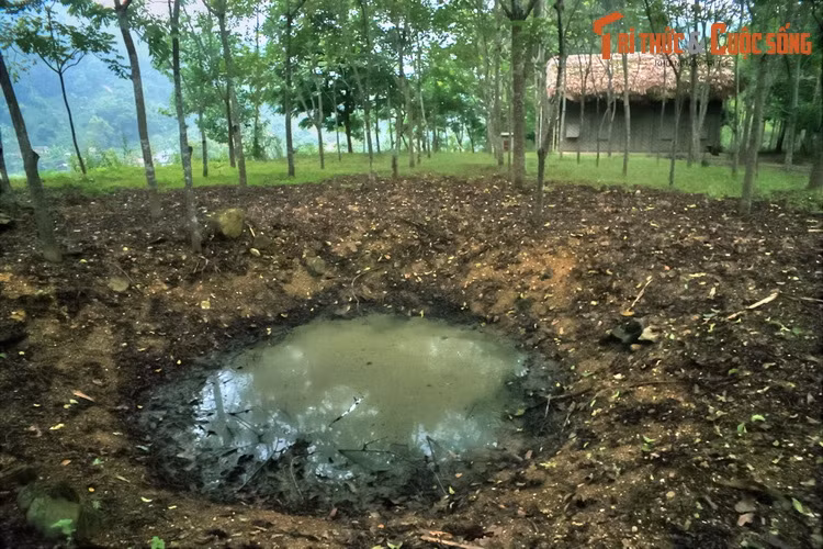 Trong hơn 3 năm ở và làm việc tại Đồng Đon, Nha Công an Trung ương đã bảo vệ tuyệt đối an toàn cho chủ tịch Hồ Chí Minh và các đồng chí lãnh đạo Đảng, Nhà nước và các cơ quan đầu não Trung ương, góp phần to lớn vào sự nghiệp vẻ vang của cuộc kháng chiến chống thực dân Pháp.