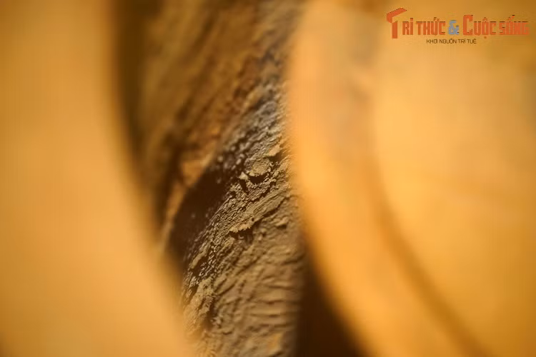 Những đồ tuỳ táng được tìm thấy trong mộ chum thể hiện một tín ngưỡng độc đáo của cư dân Sa Huỳnh, mang những nét tương đồng với cư dân vùng biển ở nhiều khu vực trên thế giới. Cuộc sống của họ gắn liền với biển và đến khi chết người thân đã đưa họ về với biển...