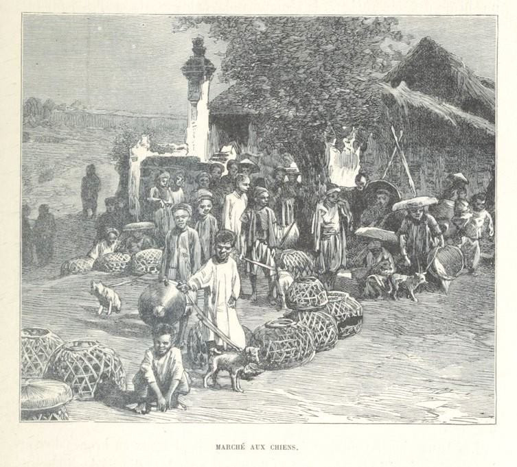 Khu chợ bán chó ở một vùng quê miền Bắc.