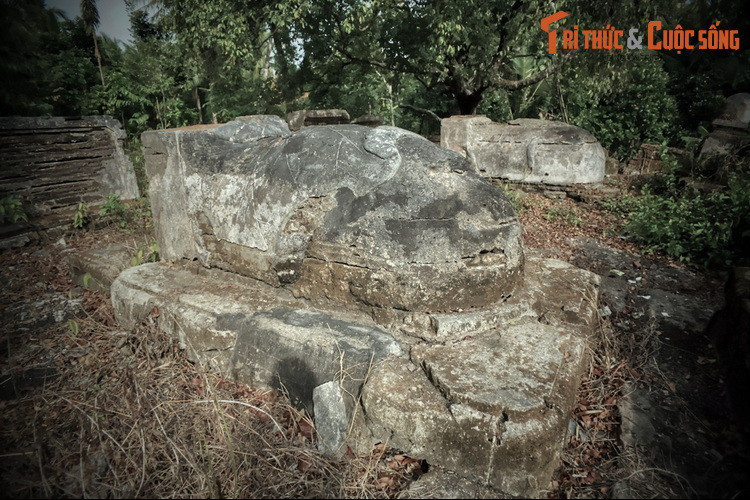 Nhà nghiên cứu Trương Ngọc Tường phân tích, nhiều khả năng gia đình Lê Phước Tang bị trị tội là do Lê Phước Tánh và Lê Phước Khỏa có mối liên hệ mật thiết với nhà Tây Sơn, đã hỗ trợ hoặc cung cấp lúa gạo cho quân Tây Sơn. Việc làm của hai người con ông Tang bị vua Gia Long coi là hành động bất trung, khiến ông Tang bị kết tội dưỡng bất giáo…