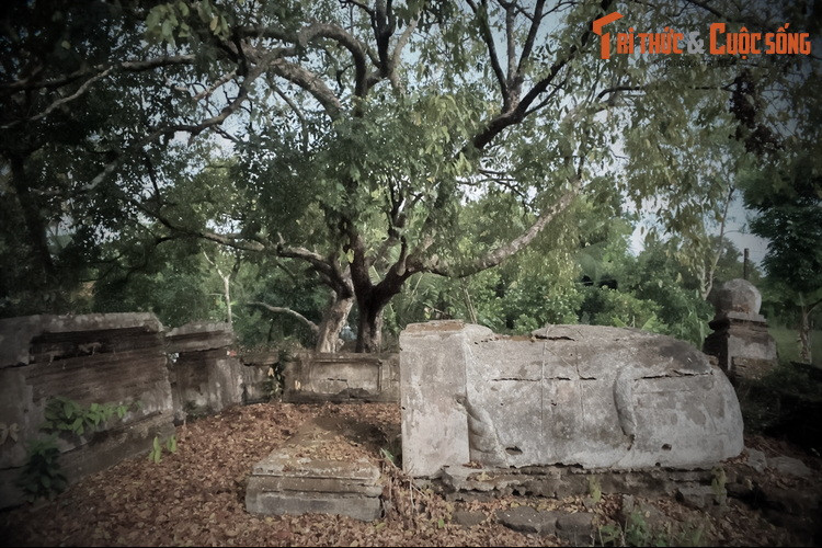 Ngày nay, tính xác thực của giai thoại lịch sử trên bị nhiều sử gia nghi ngờ. Theo đó, việc gia đình ông Tang bị vua trị tội là có thật và được ghi trong một số tư liệu lịch sử, nhưng nguyên nhân vì đâu thì không có giải thích rõ ràng. Còn chuyện hai cậu con trai “mặc áo chúa đi thăm ruộng” có thể chỉ là giai thoại được người đời tô vẽ.