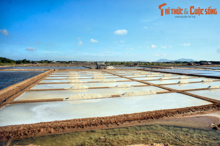Ruộng muối Long Sơn cũng là điểm tham quan không thể bỏ qua trên đảo Long Sơn. Gắn với nghề một nắng hai sương của dân đảo, những ruộng muối rộng bạt ngàn cũng tạo nên bức tranh phong cảnh quyến rũ, níu chân những vị khách phương xa.