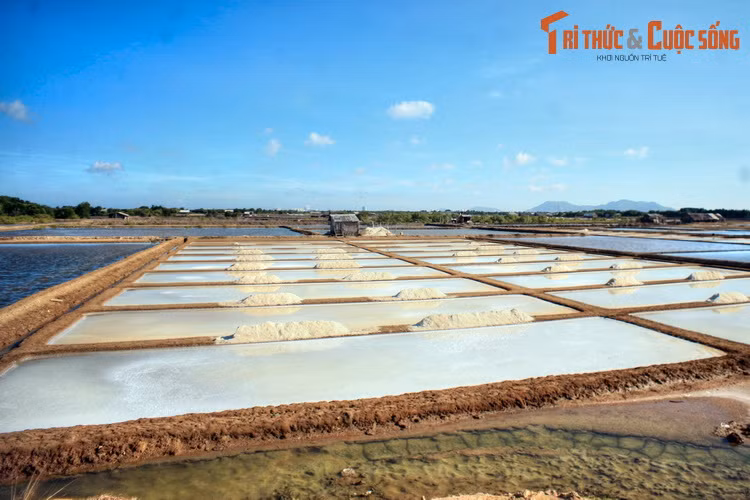 Ruộng muối Long Sơn cũng là điểm tham quan không thể bỏ qua trên đảo Long Sơn. Gắn với nghề một nắng hai sương của dân đảo, những ruộng muối rộng bạt ngàn cũng tạo nên bức tranh phong cảnh quyến rũ, níu chân những vị khách phương xa.