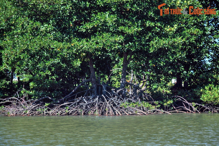 Do dân cư thưa thớt, cảnh quan ở nhiều nơi trên đảo còn rất hoang sơ với những khu rừng ngập mặn rậm rạp, nhiều bãi biển vắng vẻ, không dấu chân người.