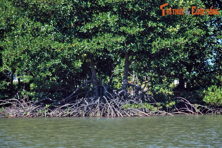 Do dân cư thưa thớt, cảnh quan ở nhiều nơi trên đảo còn rất hoang sơ với những khu rừng ngập mặn rậm rạp, nhiều bãi biển vắng vẻ, không dấu chân người.