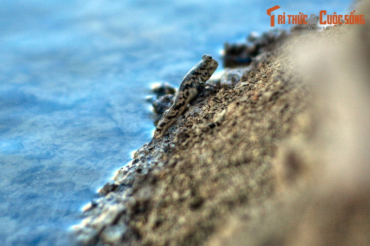 Đây thực sự là chốn "địa đàng" cho những ai muốn thoát khỏi cuộc sống xô bồ để tìm lại bản thân trong sự giao hòa với thiên nhiên, trời đất...