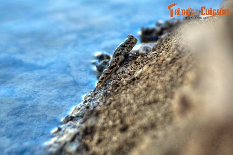 Đây thực sự là chốn "địa đàng" cho những ai muốn thoát khỏi cuộc sống xô bồ để tìm lại bản thân trong sự giao hòa với thiên nhiên, trời đất...