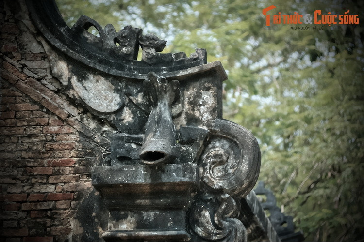 Lớn lên, những người anh em họ Trần tiếp tục nối nghiệp cha, trong đó ông Trần Văn Lân làm cả nghề buôn gỗ. Ông từng có nhiều trại cưa nằm ven sông Sài Gòn cũng như ở vùng rừng núi thượng nguồn dòng sông này ở phía biên giới giáp với Campuchia.