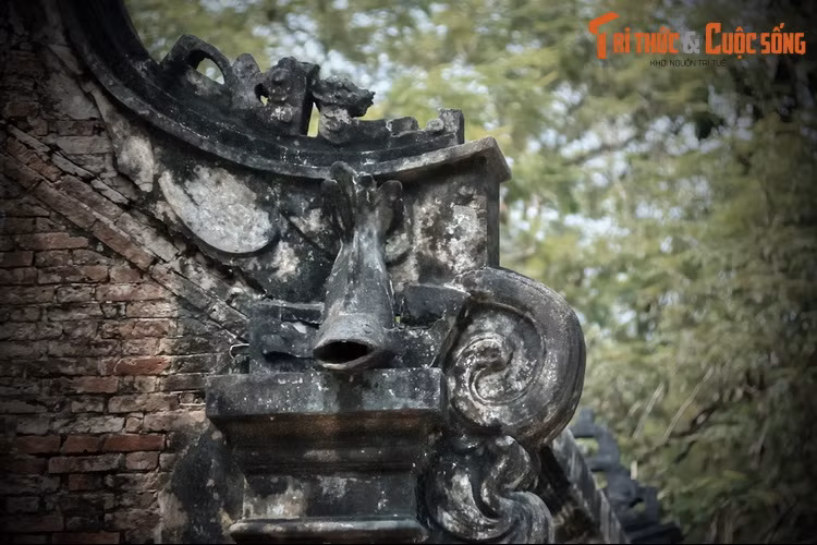 Lớn lên, những người anh em họ Trần tiếp tục nối nghiệp cha, trong đó ông Trần Văn Lân làm cả nghề buôn gỗ. Ông từng có nhiều trại cưa nằm ven sông Sài Gòn cũng như ở vùng rừng núi thượng nguồn dòng sông này ở phía biên giới giáp với Campuchia.