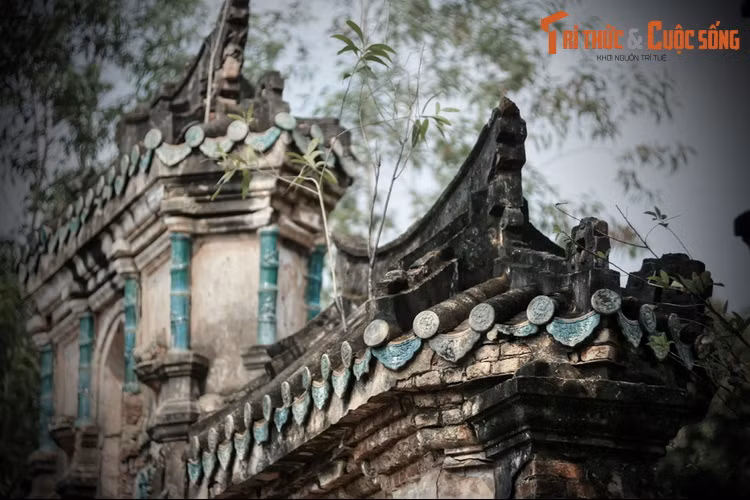 Ngược dòng thời gian, ông tổ của dòng họ Trần là ông Trần Công Tính sinh năm 1805 làm nghề đóng thuyền. Ông sinh được ba người con trai là Trần Văn Miên, Trần Văn Long và Trần Văn Lân.