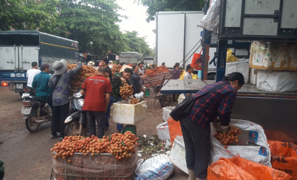 Giá vải thiều Lục Ngạn đang giữ ở mức từ 30.000 đồng đến 40.000 đồng/kg tùy loại vải xấu đẹp. Trước đó, giá bán vải Thanh Hà cũng đạt mức cao kỷ lục từ 50.000 đồng đến 60.000 đồng/kg, vải u hồng từ 30.000 đồng đến 35. 000 đồng/kg.