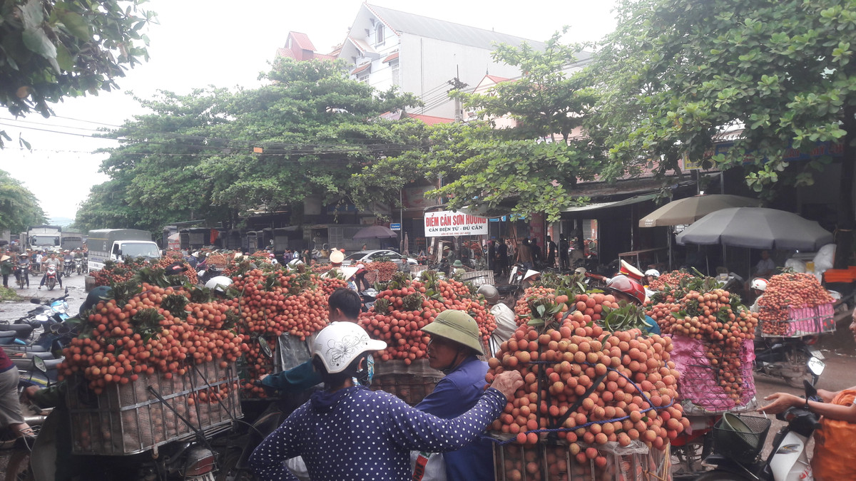 Hình ảnh người dân giao bán vải khắp dọc đường dài hàng cây số như nhuộm đỏ cả tuyến phố.
