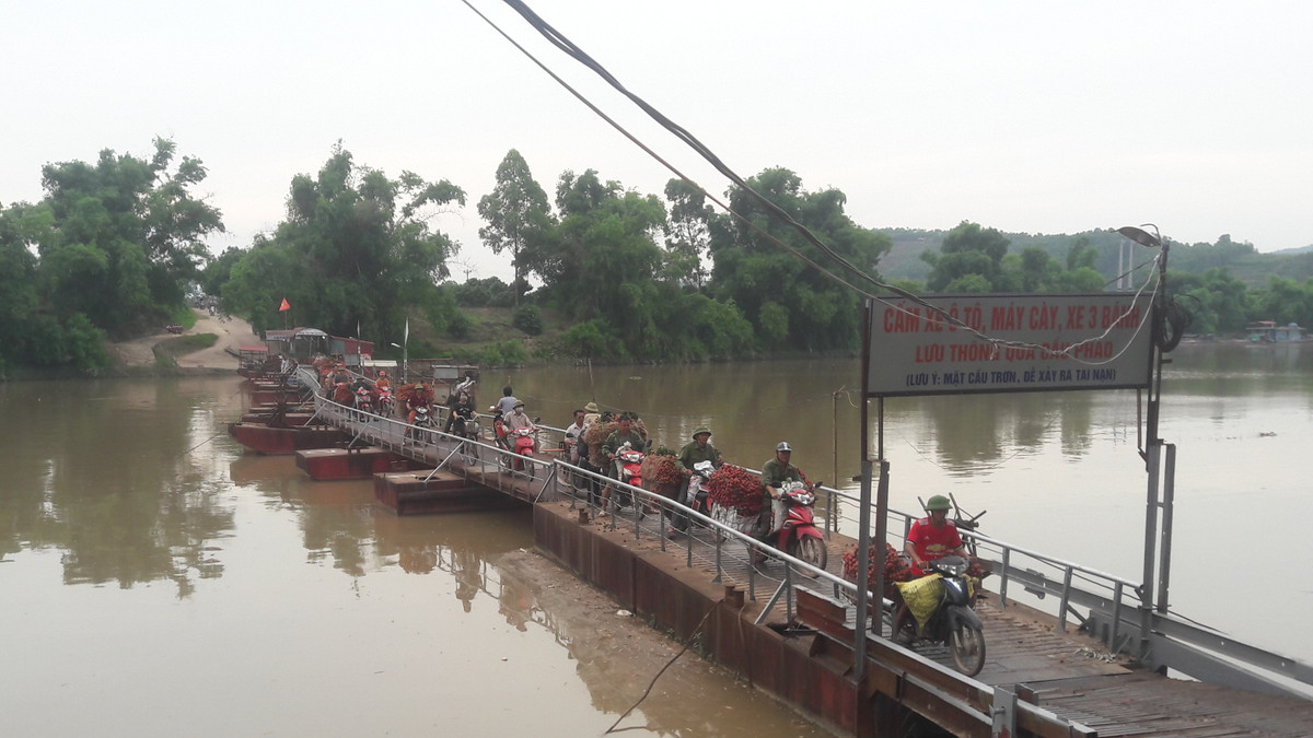Nguoi dan Luc Ngan do xo di ban vai, duong un tac hang cay so