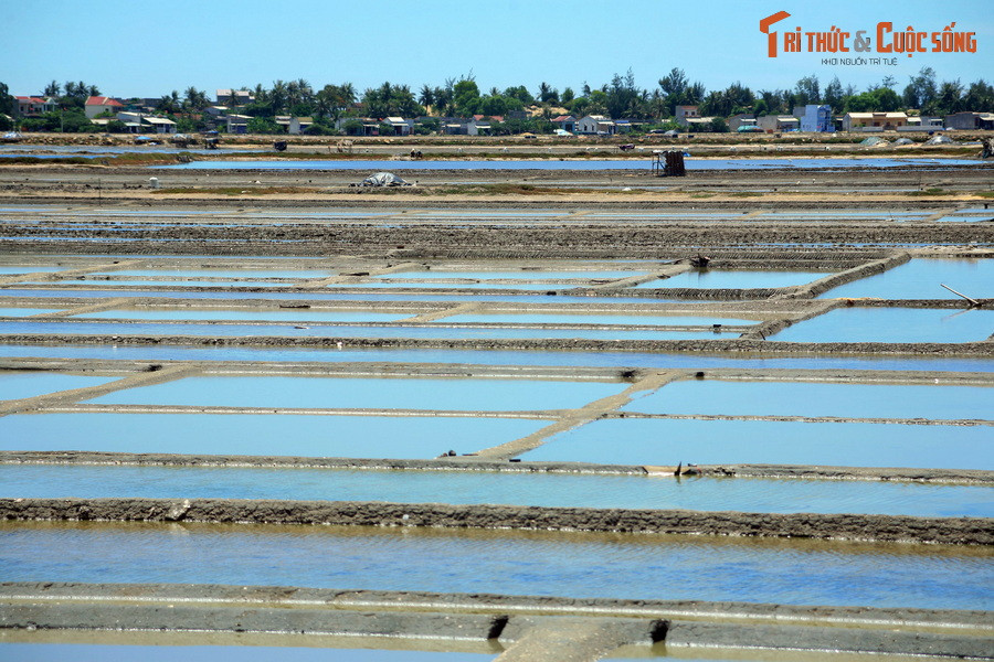 Những ruộng muối phẳng lặng như mặt gương khổng lồ ở Sa Huỳnh, một trong những vựa muối lớn nhất Việt Nam.