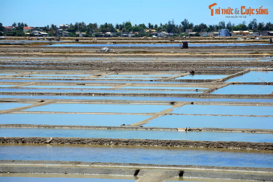 Những ruộng muối phẳng lặng như mặt gương khổng lồ ở Sa Huỳnh, một trong những vựa muối lớn nhất Việt Nam.