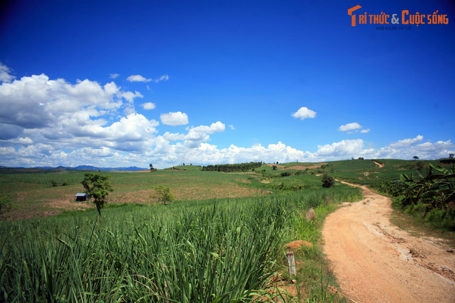 Khung cảnh hoang sơ trên đường tỉnh 662, huyện huyện Đắk Pơ, tỉnh Gia Lai.