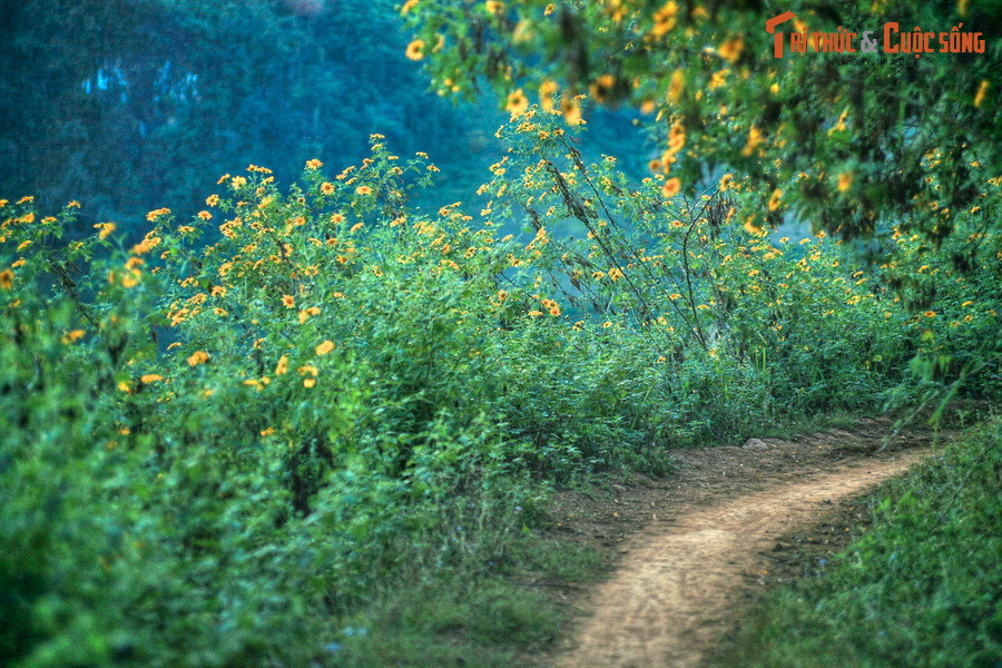 Bởi đây là mảnh đất nguyên sơ và hùng vĩ bậc nhất mảnh đất hình chữ S, nơi rất nhiều người con nước Việt muốn được ghé thăm ít nhất một lần trong đời.