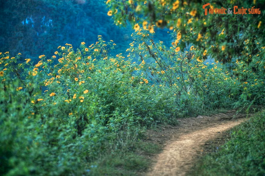Bởi đây là mảnh đất nguyên sơ và hùng vĩ bậc nhất mảnh đất hình chữ S, nơi rất nhiều người con nước Việt muốn được ghé thăm ít nhất một lần trong đời.
