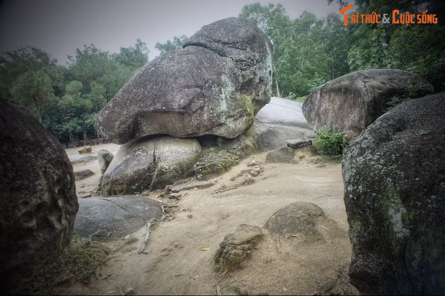 Thấy vậy, chàng trai mang cò về chăm sóc. Con cò hồi phục và quấn quít với người ngư dân trẻ như người nhà. Chàng không biết rằng nó chính là nàng tiên, con của Ngọc Hoàng, vì mắc tội mà bị đày xuống hạ giới trong lốt cò. 