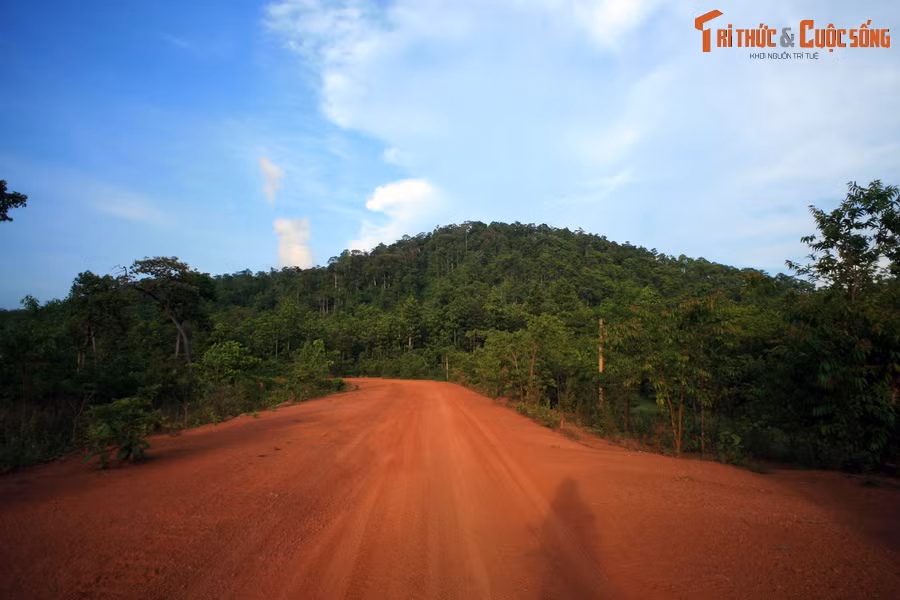 Chàng nhổ cây làm gậy, rồi trèo lên một quả núi thật cao chờ rồng lửa. Chờ được một lúc thì tàn lửa bay tới tấp khiến người chàng bỏng rát. Một lát sau, rồng lửa hiện ra.
