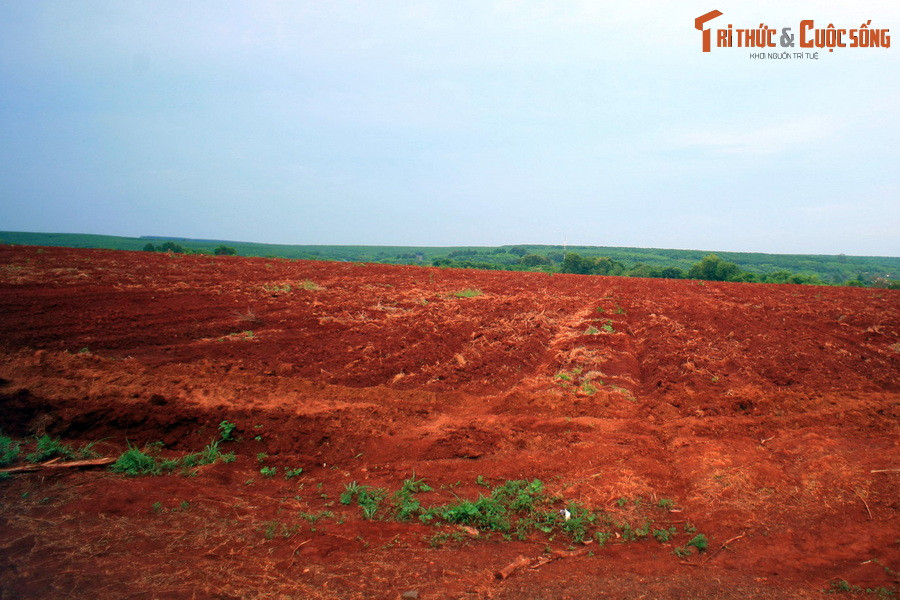 Xác rồng trải rộng suốt một vùng đất. Lúc mới rơi xuống, toàn thân rồng là một khối lửa đỏ rực. Nhưng lâu ngày, cái xác nguội dần, rồi biến thành đất làm cho đất đai vùng này có màu đỏ như lửa.