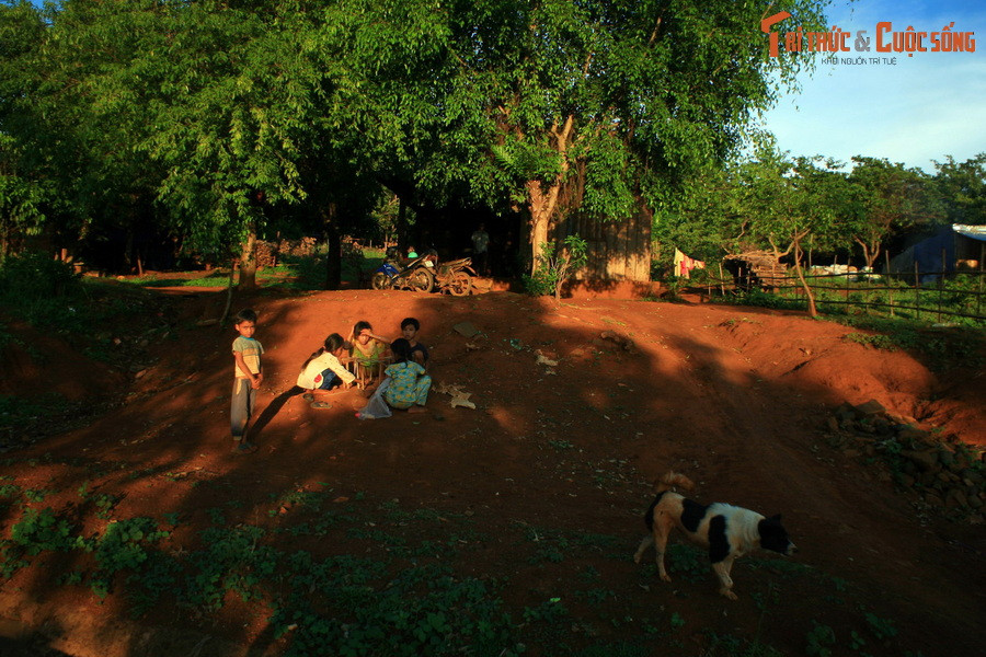 Dần dần những rừng cây gỗ, đồi tranh, đồng cỏ thi nhau mọc lên. Muôn loài chim thú tìm về trú ngụ. Tất cả tạo thành một vùng đất đỏ Tây Nguyên giàu có và đẹp đẽ như chúng ta biết ngày nay...