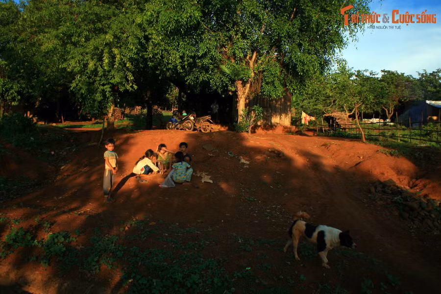 Dần dần những rừng cây gỗ, đồi tranh, đồng cỏ thi nhau mọc lên. Muôn loài chim thú tìm về trú ngụ. Tất cả tạo thành một vùng đất đỏ Tây Nguyên giàu có và đẹp đẽ như chúng ta biết ngày nay...