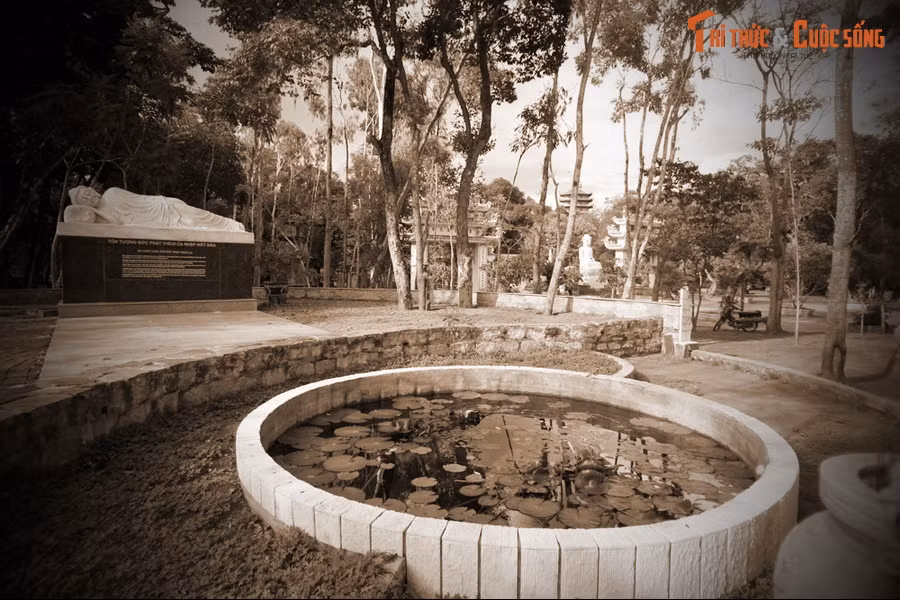 Và nhà sư được báo mộng rằng khi đào giếng ở phía Đông chùa, họ sẽ gặp phải một tảng đá lớn. Họ chỉ cần bỏ tảng đá này đi sẽ thấy được mạch nước.