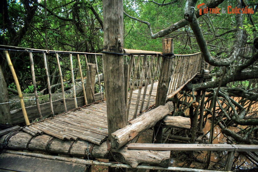  17. Bản Đôn - Đắk Lắk. Nằm ở huyện Buôn Đôn, Bản Đôn nổi tiếng với truyền thống săn bắt và thuần dưỡng voi rừng. Tại đây, du khách có thể quan sát những chú voi nhà, thăm nhà sàn của vua voi và khám phá các địa điểm lý thú khác như cầu treo Sàn Si, thác Bảy nhánh, hồ Đắk Mil...