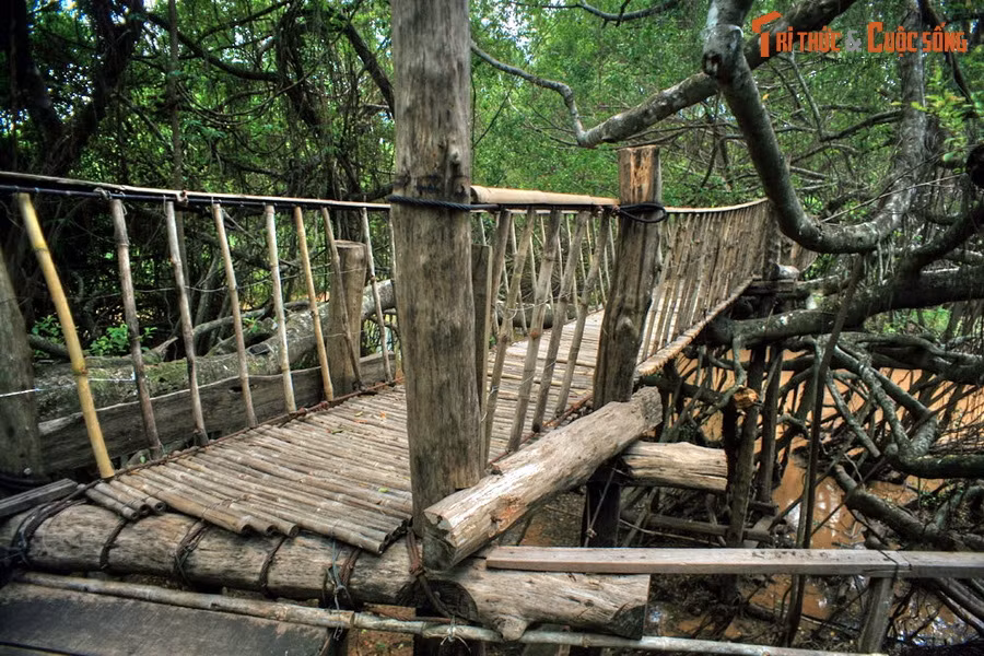  17. Bản Đôn - Đắk Lắk. Nằm ở huyện Buôn Đôn, Bản Đôn nổi tiếng với truyền thống săn bắt và thuần dưỡng voi rừng. Tại đây, du khách có thể quan sát những chú voi nhà, thăm nhà sàn của vua voi và khám phá các địa điểm lý thú khác như cầu treo Sàn Si, thác Bảy nhánh, hồ Đắk Mil...