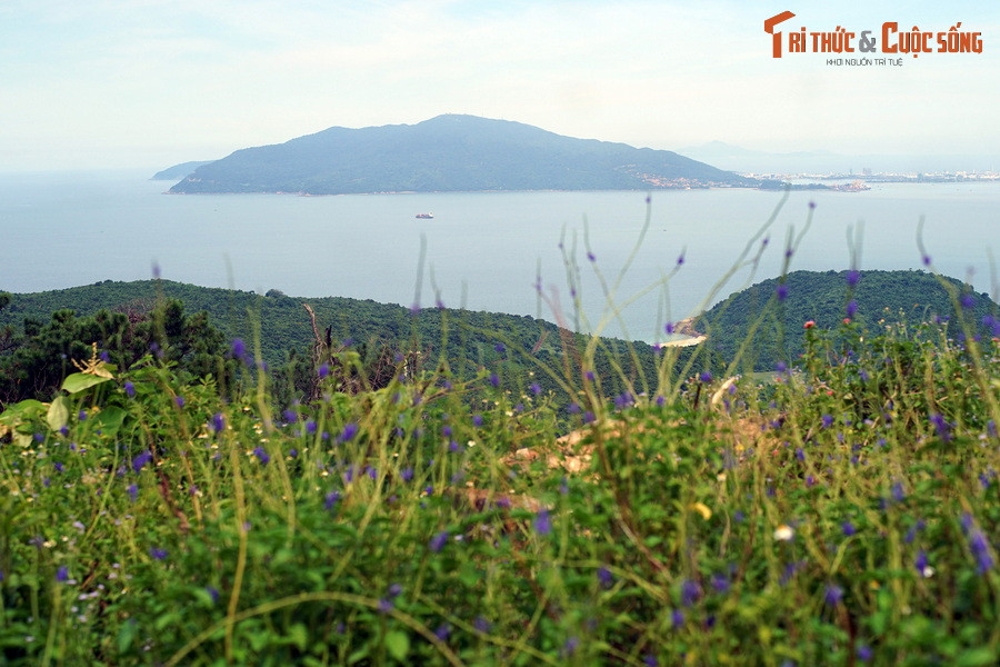 Từ đèo Hải Vân nhìn ra bán đảo Sơn Trà.