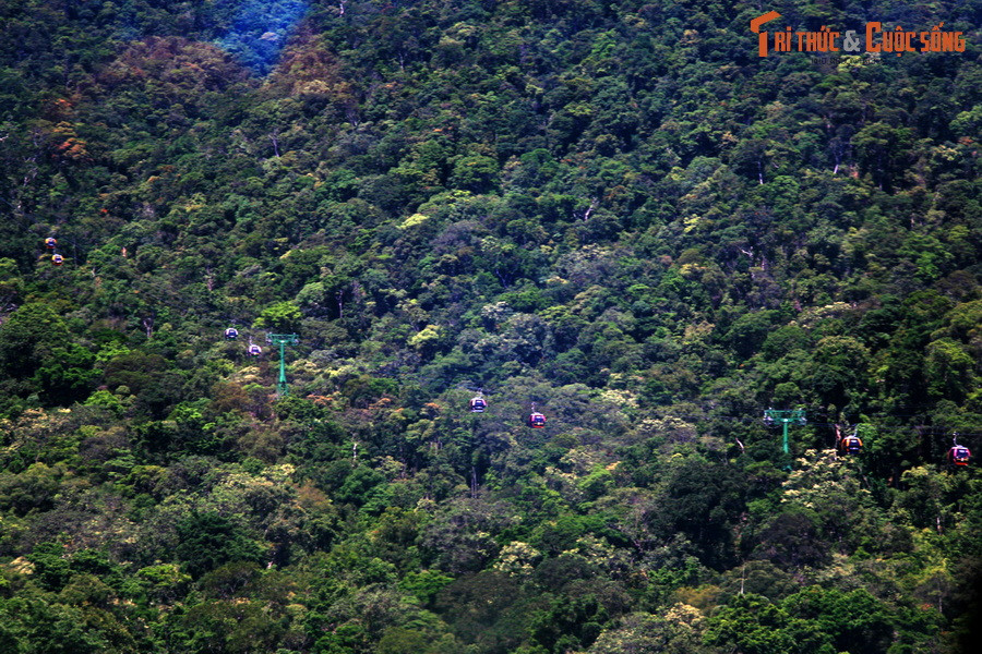 Tuyến cáp treo đi qua thảm rừng rậm rạp ở Bà Nà.