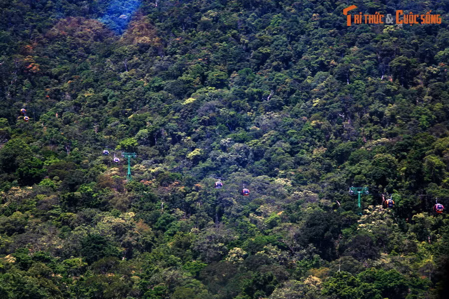Tuyến cáp treo đi qua thảm rừng rậm rạp ở Bà Nà.