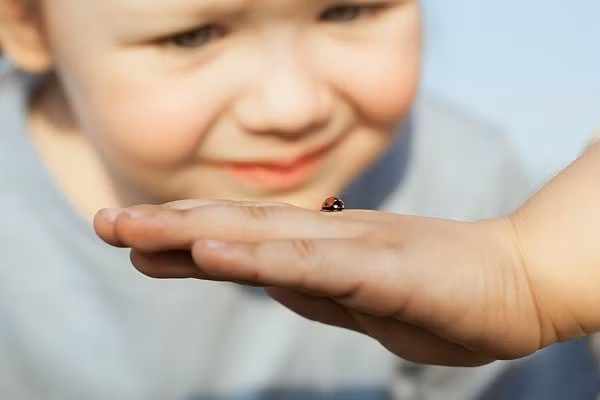 Bé tò mò về mọi thứ quanh mình, chuyên gia đặt các câu hỏi khó.